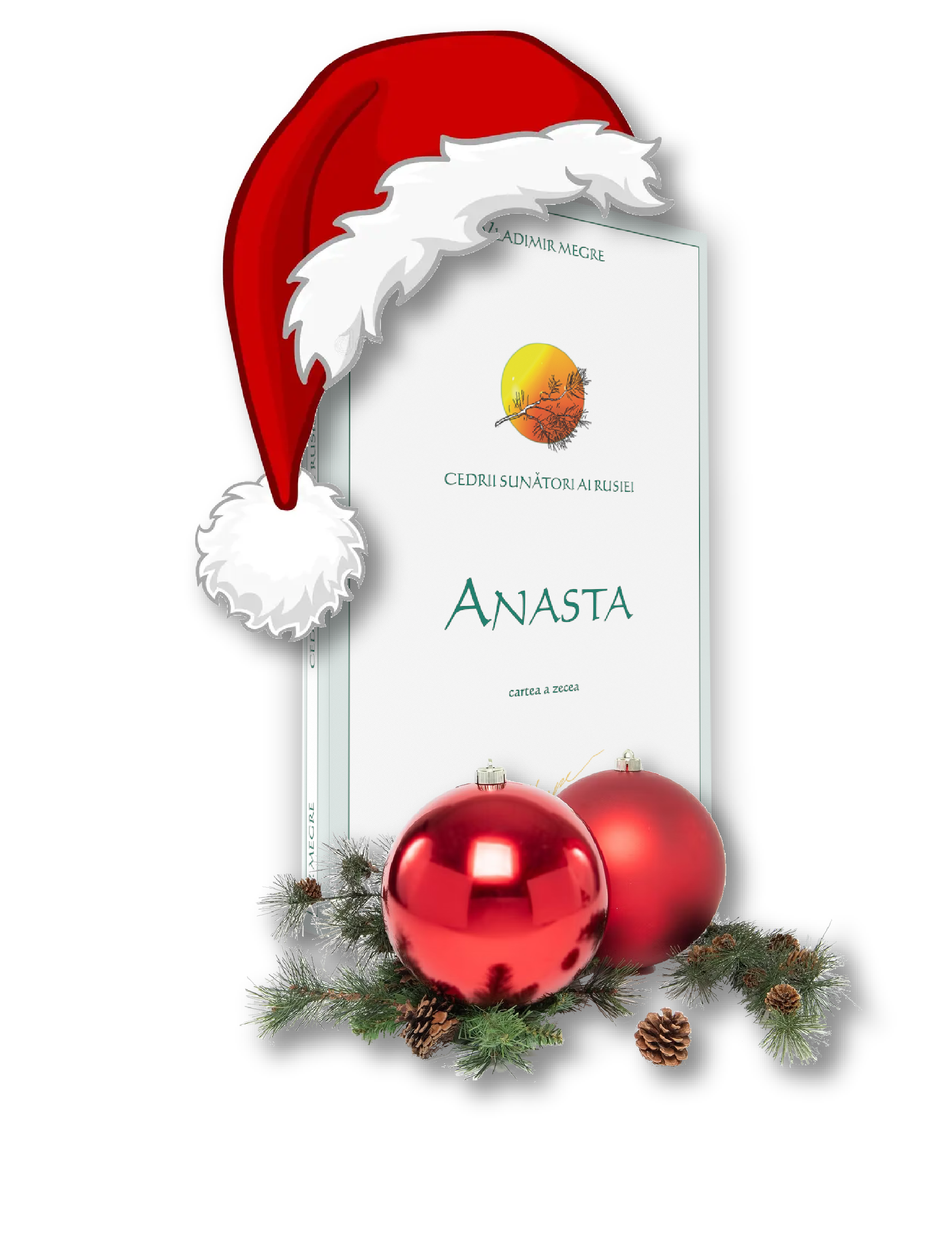 Anasta - cartea a zecea