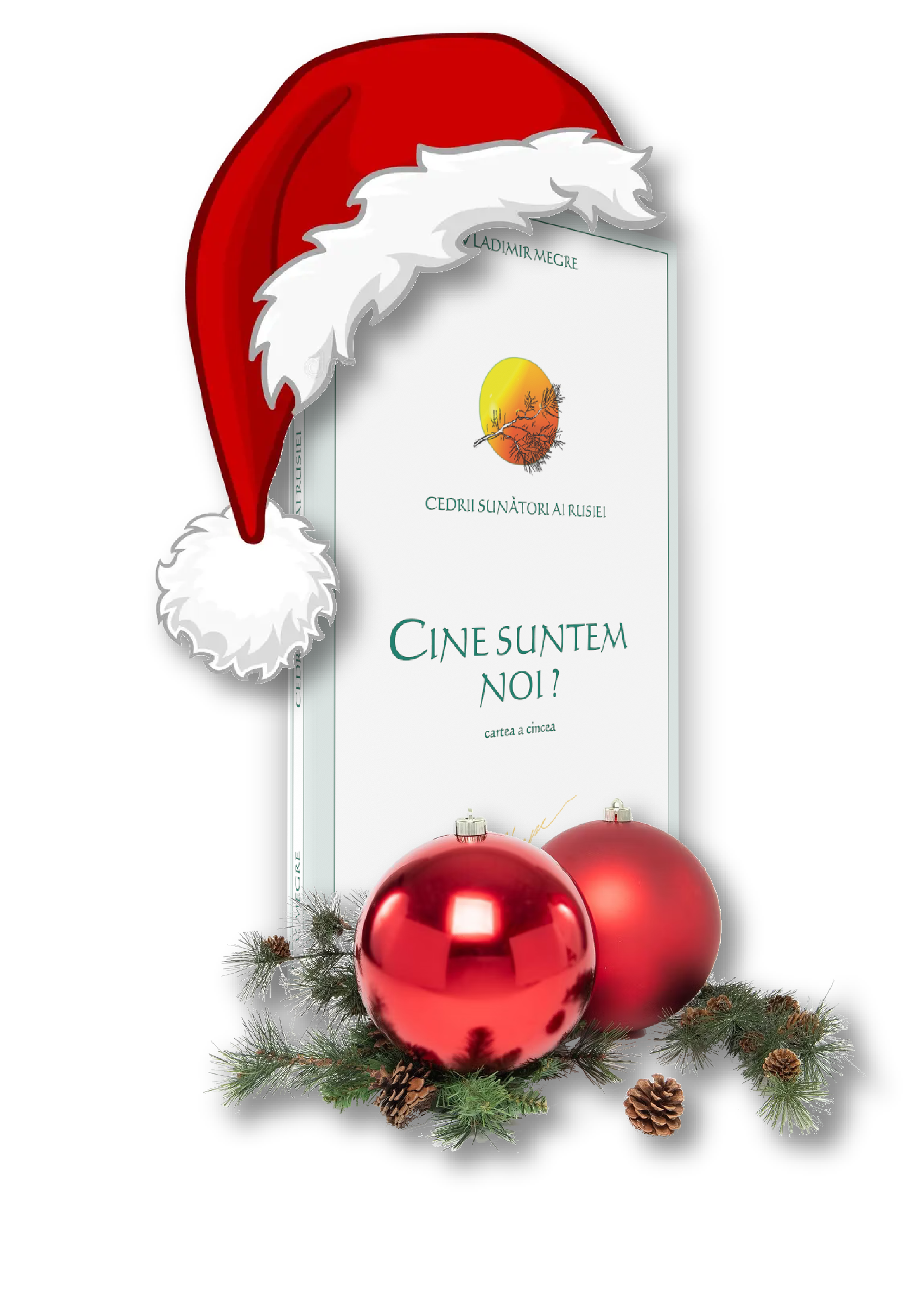 CSN_red Crăciun 2025